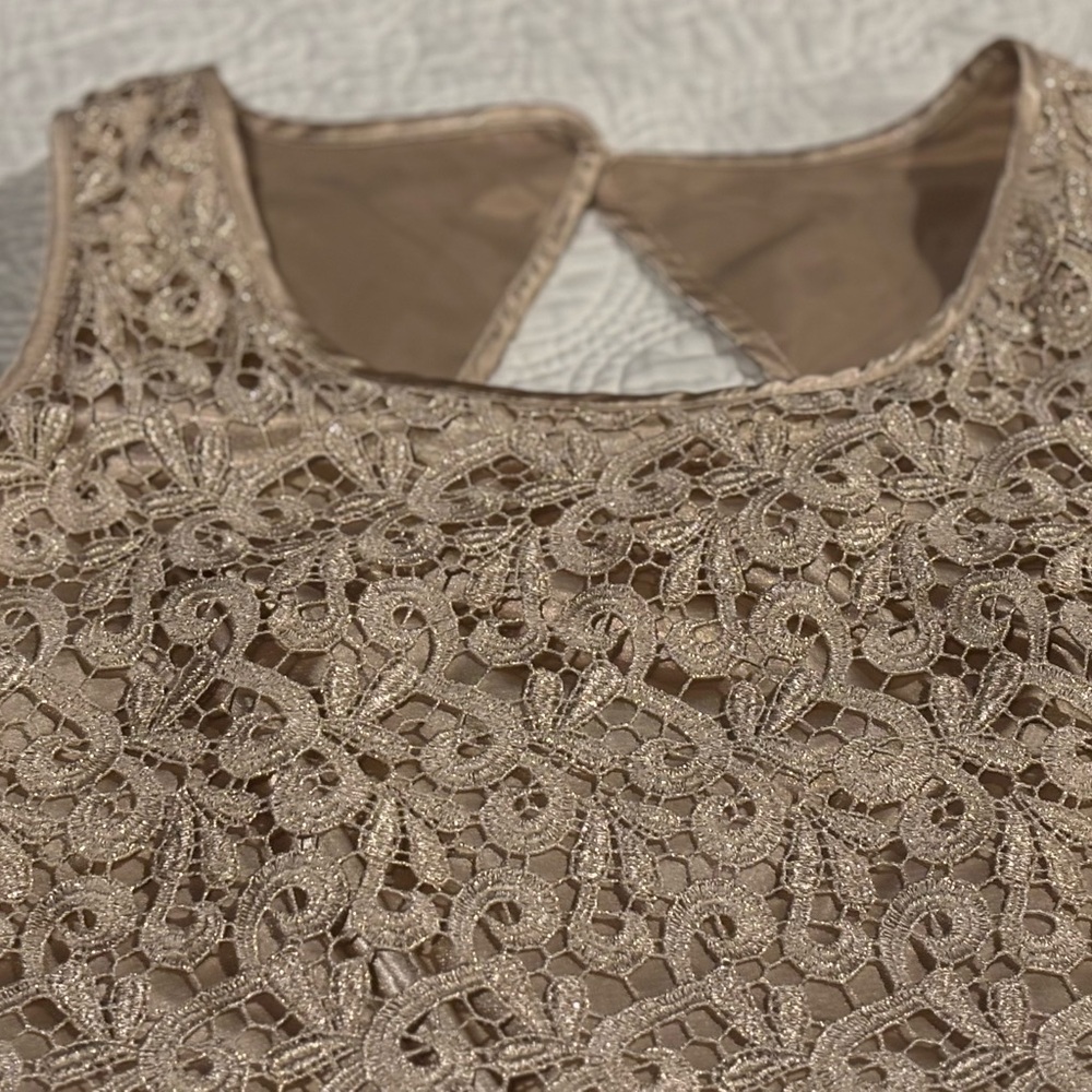 Elegant Lace Dress, side zipper, size 12, from Macy’s, lined inside